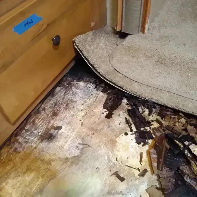 Wood Floor Water Damage in Detroit Beach, MI